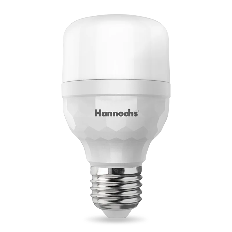 LED 12 W